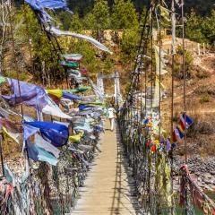 Punakha Suspension Bridge