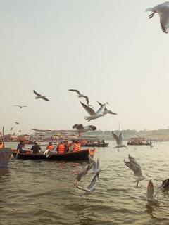                                                   Triveni Sangam, Prayagraj